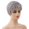 Short Silver-White Synthetic Wig for Women