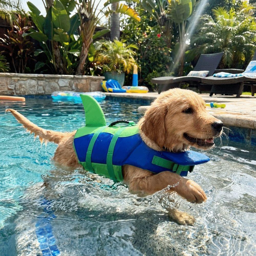Superior Buoyancy Pet Life Jacket Shark Shape Dog Swimming Suit Dog Life Vest Water Safety