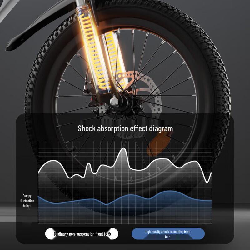 Youth Suspension Mountain Bike