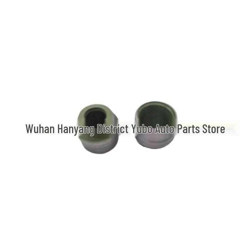 Valve Stem Seal for Dongfeng Citroën: New Elysee, Elysee, 307, 308, 408 (1.6)