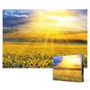 Очаровательный закат на поле подсолнечников [Мини] - пазл из 2000 деталей, популярная корейская головоломка