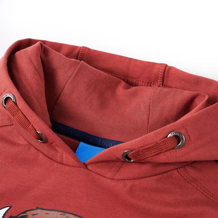 Sweatshirt à capuche pour enfants rouge brûlé 92/104/116/128/140