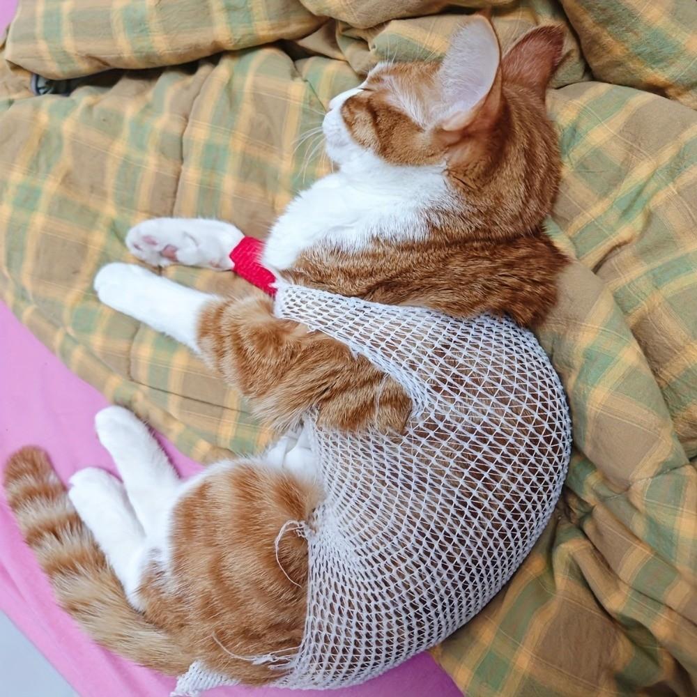 Breathable Pet Protection Cover Elastic Knee Paw Net Sleeve Wound Recovery