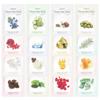 100 Sheets (random) 1 Pack Per Day Nature Skin Mask Pack