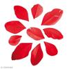 Classic Red Cut Feathers 6cm - 2g Decorative Feather Set for Costumes and Decorations, - Type of Feathers : Feathers