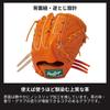 Rawlings Перчатки для бейсбола для взрослых жесткие HOH PREMIUM GH4FHPB88 V черные Размер дюймов для бросающей руки [для аутфилдеров] 12,5 Для правшей (оставили изношенным)