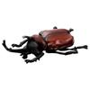 Takara Tomy Ania's Egg Insect Collection DP-BOX Animal Dinosaur Toy for Ages 3 and Up