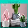 Cactus Resin Ornament For Creative Home Decoration Gift For Childrens Day Gift