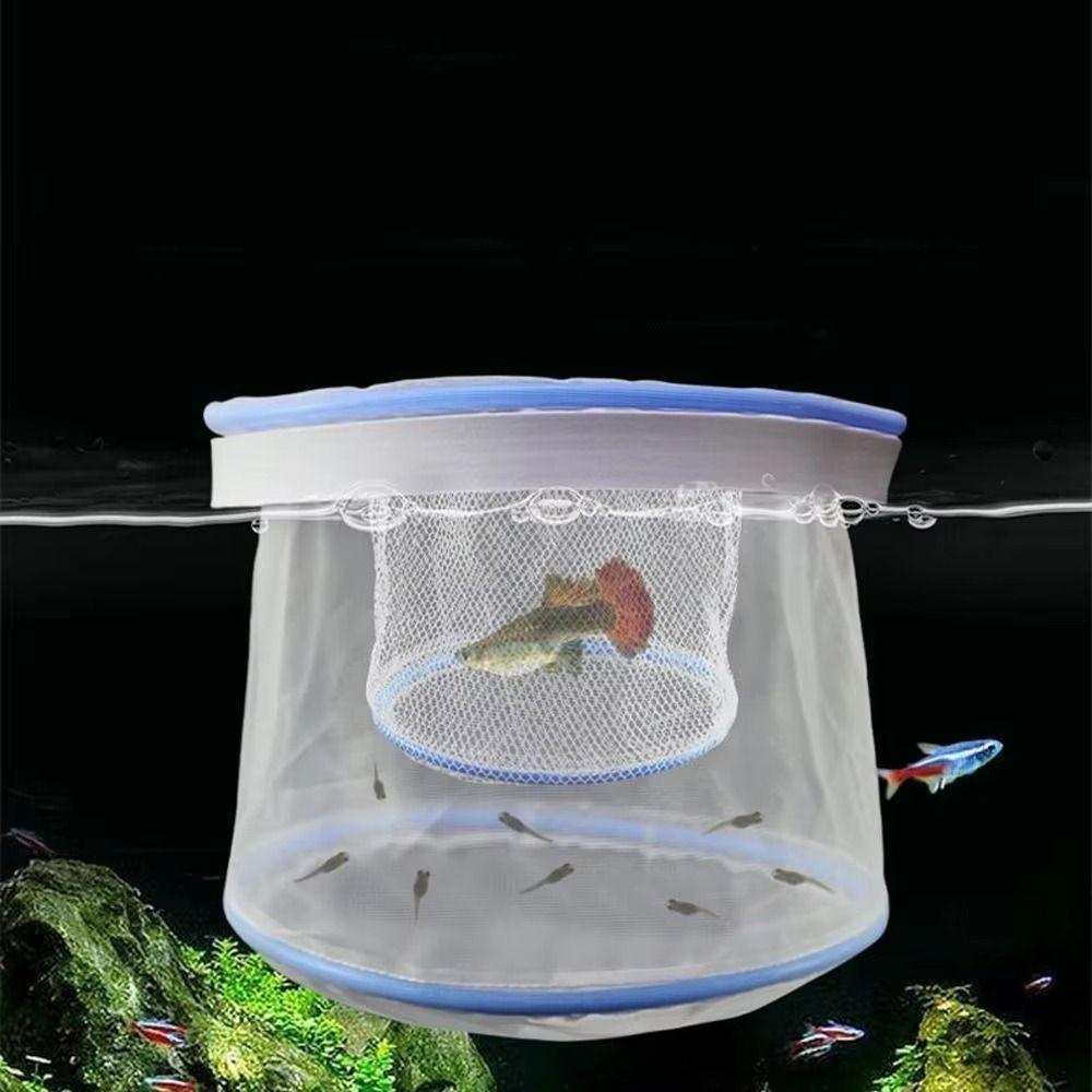 Multiple sizes Aquarium Fish Isolation Box Breathable Small Fry Breeding Box Fish Care Equipment