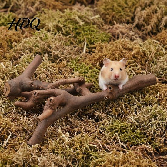 Eco Friendly Pet Toy Natural Grapevine Hamster Toy Climbing Branches Enrichment Interactive Rodent Branch for Small Animal Cage Rat Exploration
