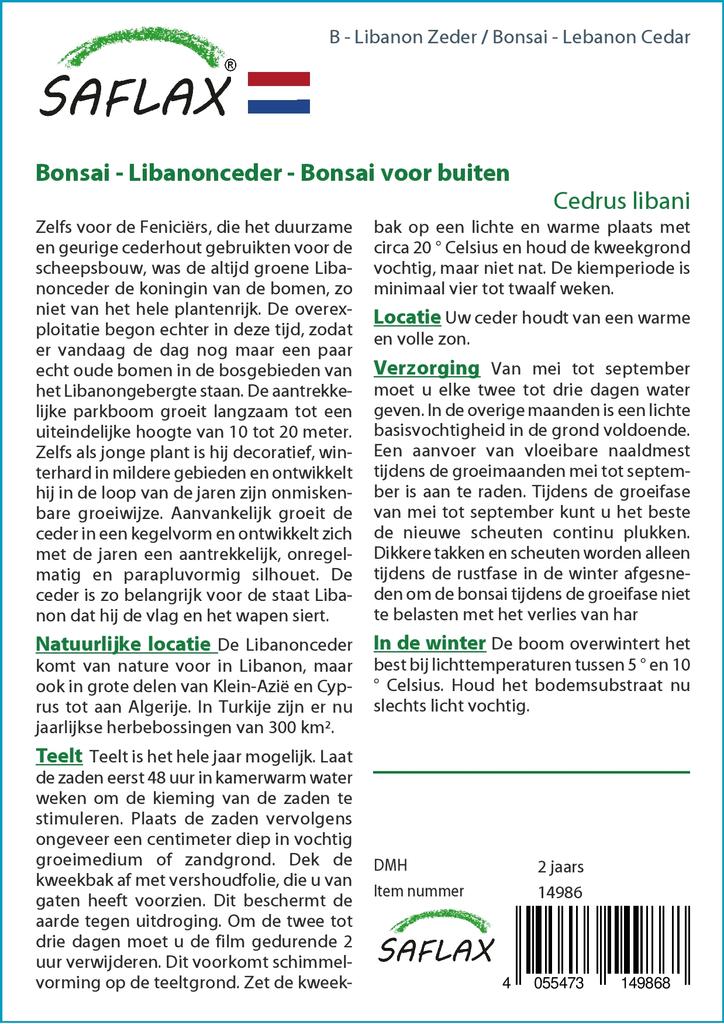 SAFLAX Garden in the Bag - Бонсай - Ливанский кедр - 20 семян - С субстратом в подходящем пакете - Cedrus libani
