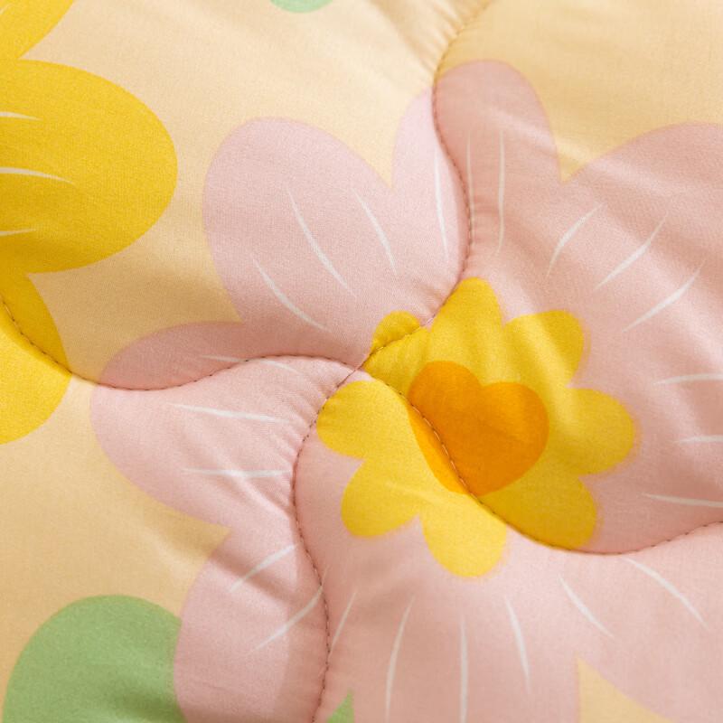 Thick Brushed Fleece Warm Quilt