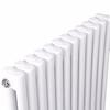 Mr. Warm Wall-Mounted Steel Hydronic Radiator