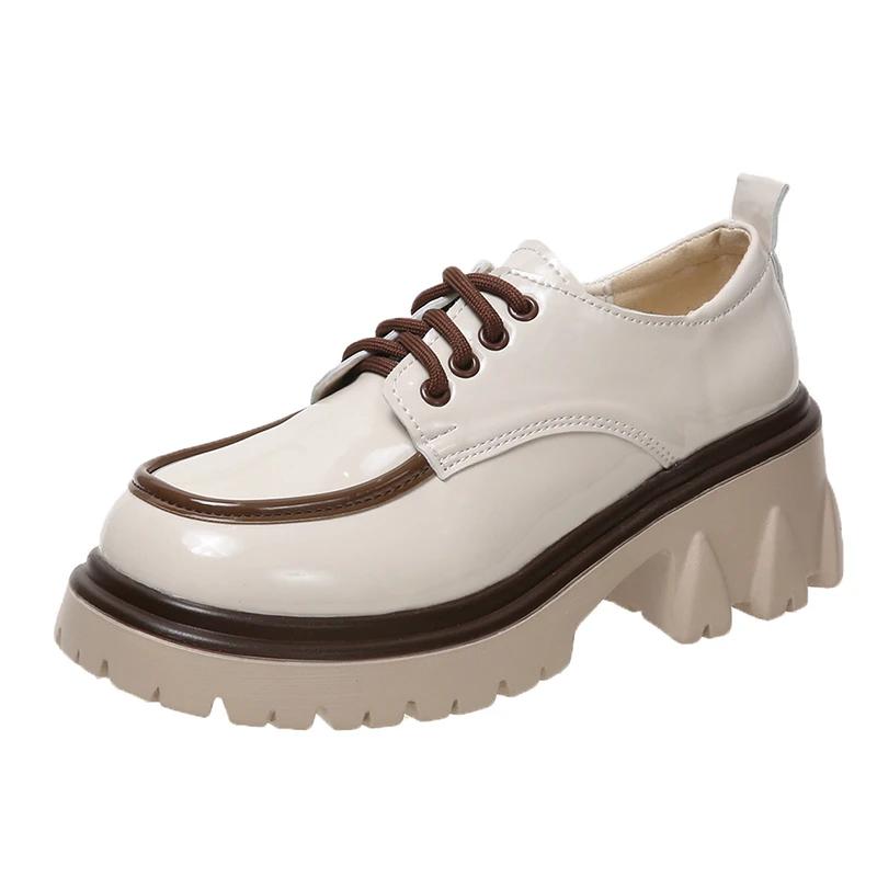 Fashion Shoes for Women 2024 Autumn Winter New Chunky Heel Platform Lace-up Women's Boots Fashionable Round Toe Motorcycle Boots