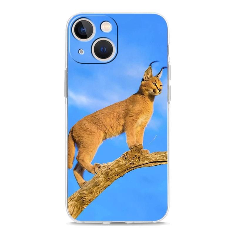 Чехол для телефона iPhone 17 Air Cases iPhone 16 15 12 13 14 Pro Max SE 7 8 Plus iPhone11 Прозрачный чехол Африканская рысь Каракал