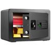 Домашний сейф Deli H250 с отпечатком пальца и паролем