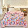 2023 New Doudou Rong Quilt Winter Thickened Children's Dormitory Single Double Quilt Core Double Sided Dual Use Winter Quilt