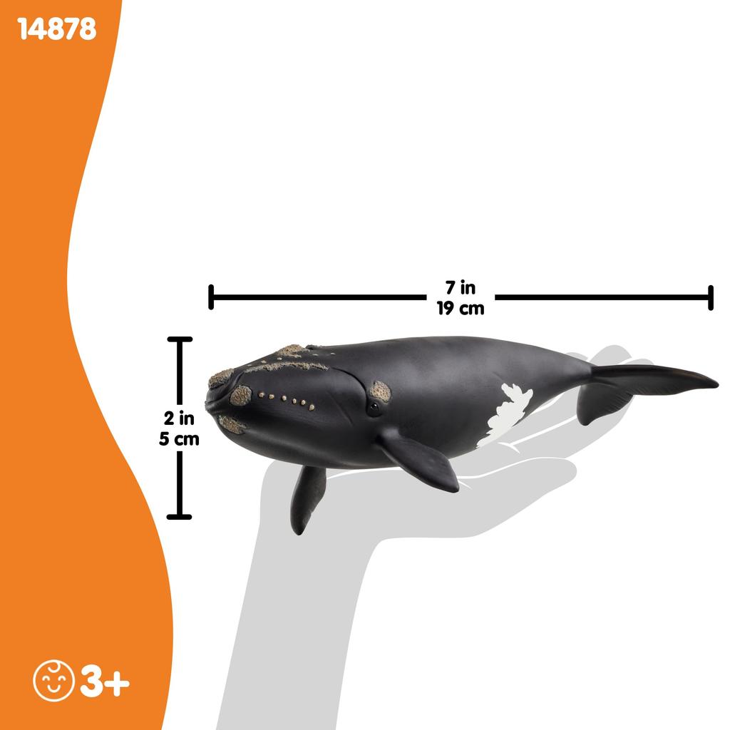 Schleich Wildlife Атлантический гладкий кит 14878