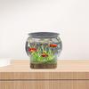 Aquarium Bowl for Fish, Clear Design Home Decor And Viewing