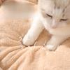 King size kennel oval cat nest large dog winter warm pet bed thickened plush nest pad pet supplies