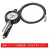 Michelin EuroDyne Air 1991 Gauge, 70-1,200 kPa, No. STRAIGHT/15-01991