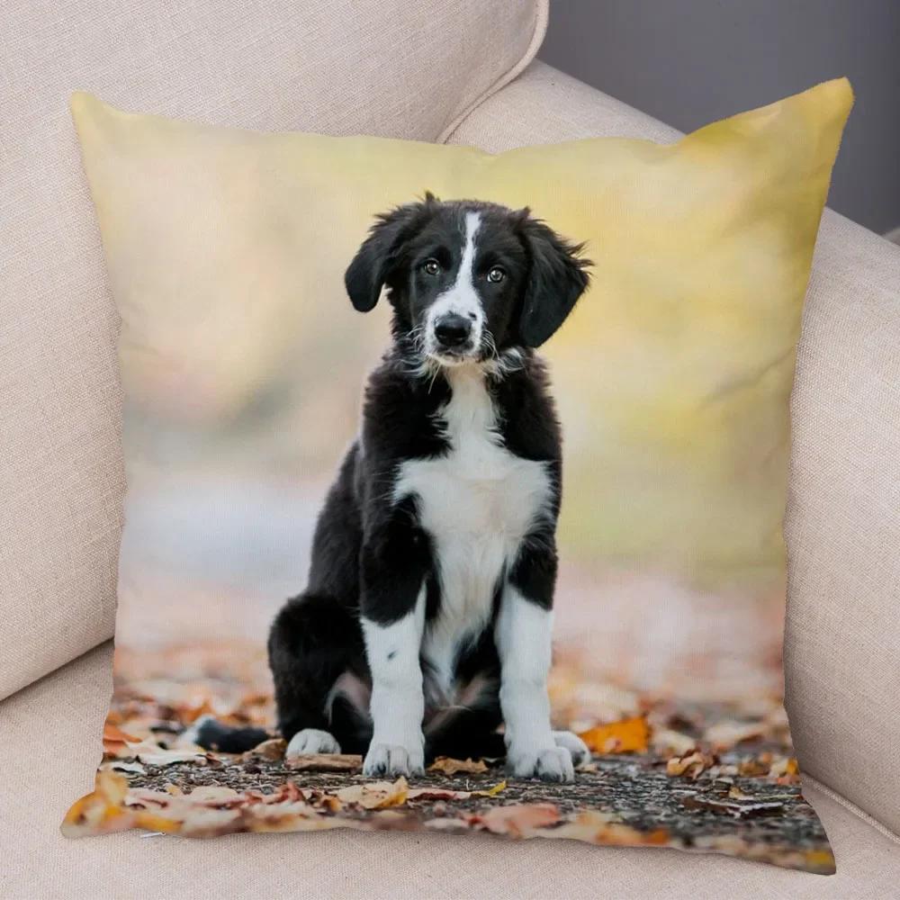 Милый Домашний Питомец Наволочка Шотландия Бордер Колли Наволочка для Дивана Автомобильного Декора Принт Собаки Мягкая Плюшевая Наволочка