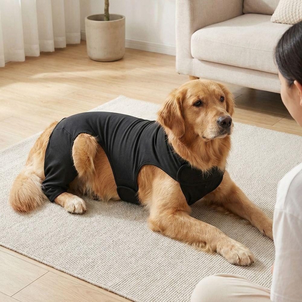Adjustable Dog Leg Rehabilitation Suit Breathable Dog Knee Brace  Wound Protection