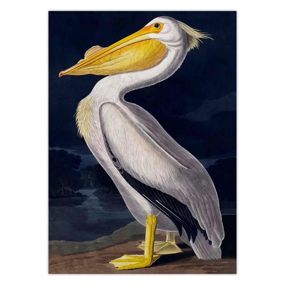 Vintage Bird Canvas Print Audubon Bird Posters Pink Flamingo Snowy Owl Pelican Blue Heron White Egret Canvas Painting Wall Art