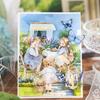 40pcs/pack Kawaii Ins Aesthetic Stationery Stickers Cute Doll PET Stickers DIY Scrapbook Diary Album Junk Journal Decoration