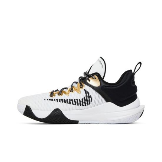 Nike Яннис Бессмертие EP Championship DC6927-100