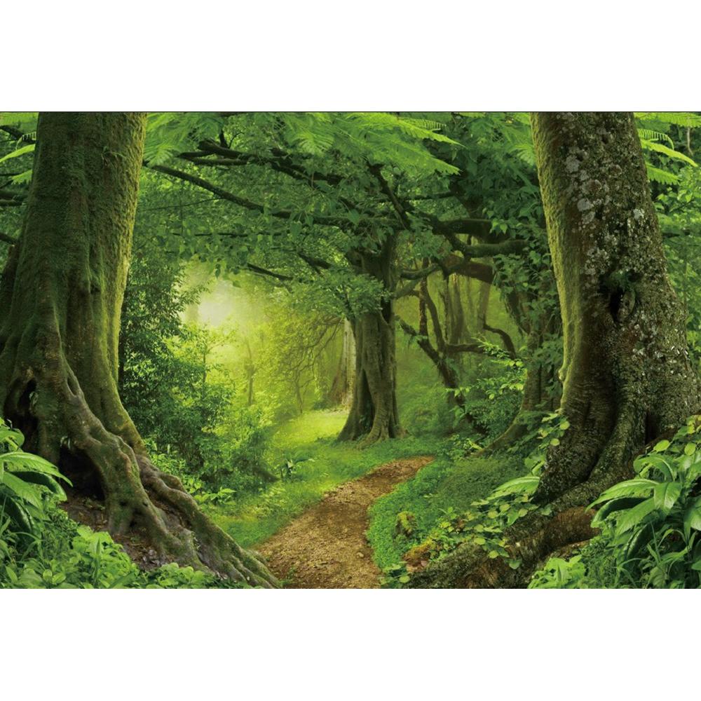 Spring Forest Backdrop Tropical Jungle Rainforest Backdrops for Photography Camping Adventure Birthday Background Photo Studio