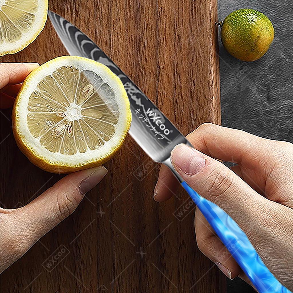 WXCOO Professional Kitchen Knife Blue Resin Handle Japanese Santoku Knife Laser Damascus Pattern Utility Knife With Gift Box