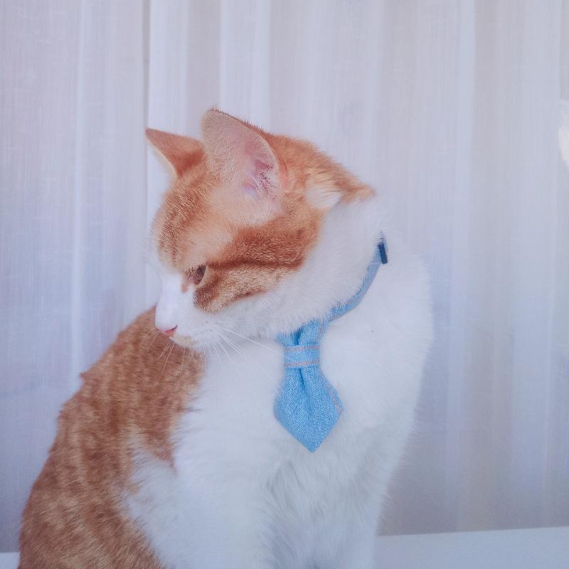 Галстук-бабочка для питомца, регулируемый кошачий галстук, джинсовые щенячьи ошейники, модный кошачий шейный бант, галстук для питомца, украшение для вечеринки, свадьбы, аксессуар для собаки