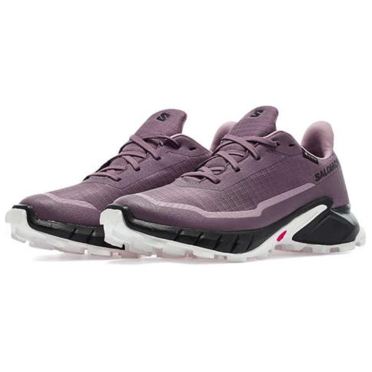 Женские кроссовки Alphacross 5 Wmns Salomon GORE-TEX 'Moonscape' Женские