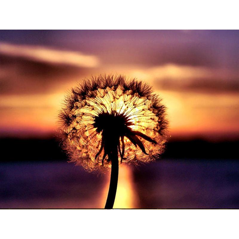 Diamond Painting Dandelion Full Square Mosaic Art Sunset Diamond Embroidery Landscape Picture of Rhinestone Home Decor