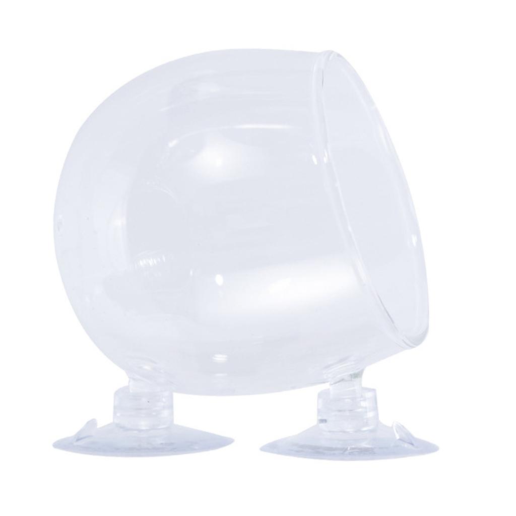 Стеклянный горшок для растений для аквариума для различных аквариумов с присоской для пресноводного солеводного аквариума ландшафтная чашка для растений