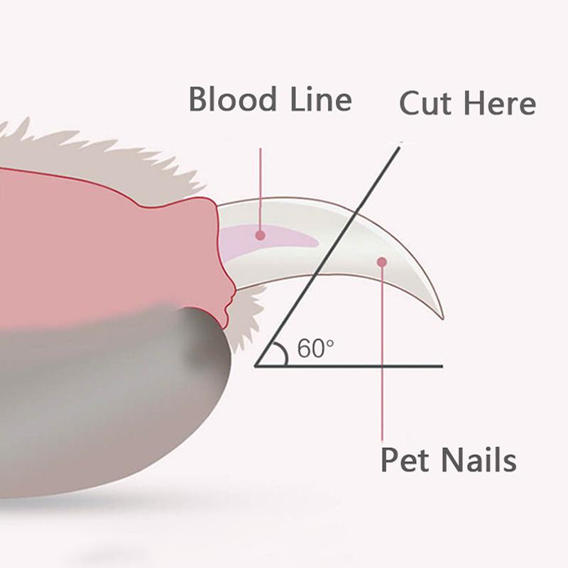 Professional Pet Nail Clipper for Dogs Cats Small Animals Led Light Nail Trimmer Toe Claw Scissor Grooming Tool Pet Supplies