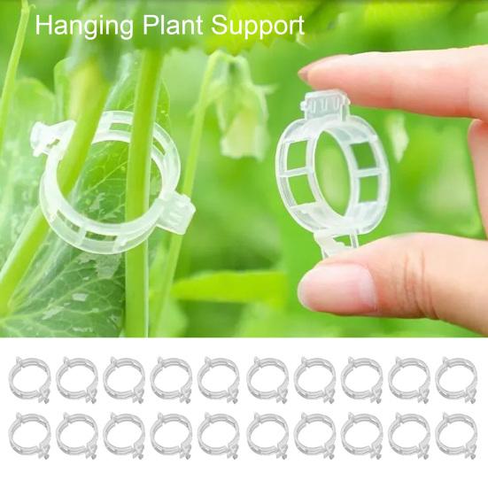 20Pcs Seedlings Fixing Clips Quick-open Plant Support Clips Clear Vine Fixing Buckles for Grafting Tying Vines And Hanging Plants Healthy Growth
