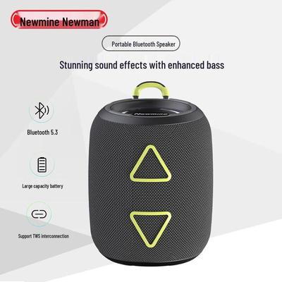 Портативная Bluetooth-колонка Newmine BT87, штекер CN (адаптер в комплекте)