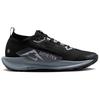 Nike Кроссовки React Pegasus Trail 5 Gore Tex Черный Холодный серый FQ0908-001
