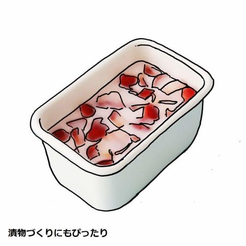 Fuji Horo Deep Storage Container, LL Size, 2.3L, Canister with Lid, Induction Cooktop, Oven, and Freezer Compatible, KE-DLL LW, White