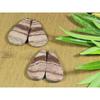 51Cts. Natural Zebra Jasper Matched Pair Pear Cabochon Gemstone 2Pair Lot B-214