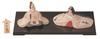 Authentic Hina Dolls That Can Be Easily Displayed Shipping [Heian Dolls] [Ceramic Hand-painted] ¥0