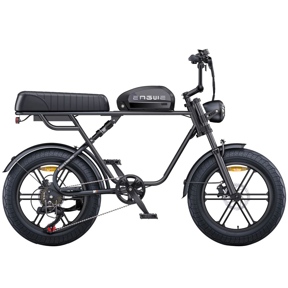 Electric bicycle ENGWE M1, 250W motor, 48V 15.6AH battery, top speed 25km/h, cruising range 90km, 20x4.0-inch tires
