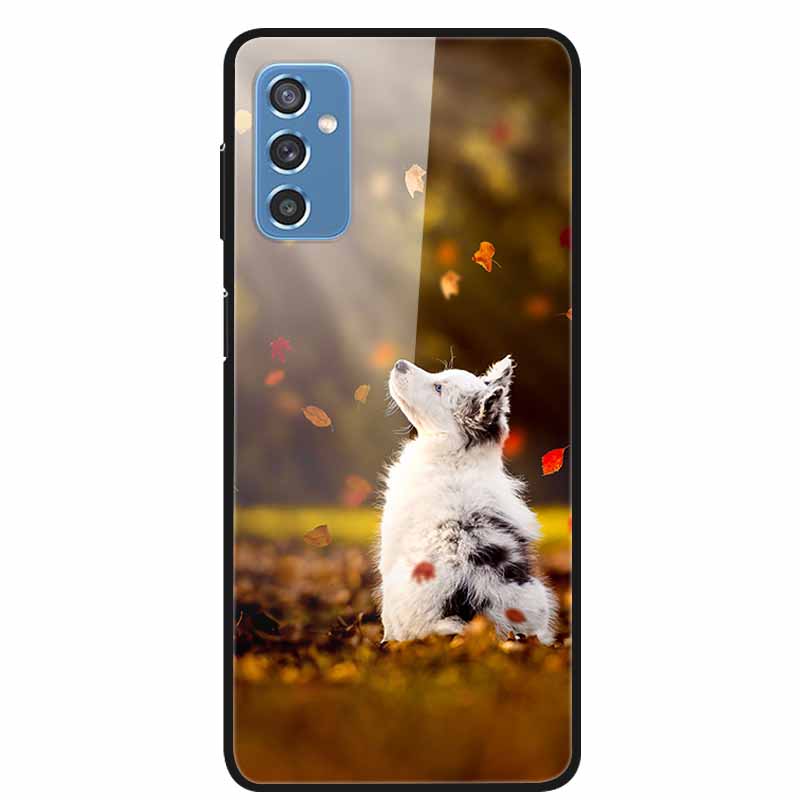 Для Samsung M52 5G Чехлы M23 5G M51 M02s Закаленное Стекло Жесткая Задняя Крышка Для Samsung Galaxy M23 5G Чехол для Телефона Fundas Capa M 52 5G