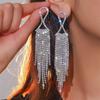 Premium Sense Full Diamond Long Tassel Earrings Fashion Temperament Rhinestone Earrings Women's Earrings 1 Pair