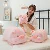 Adorable Pig Plush Toy Pillow for Kids - Sleeping Lululu Doll Gift