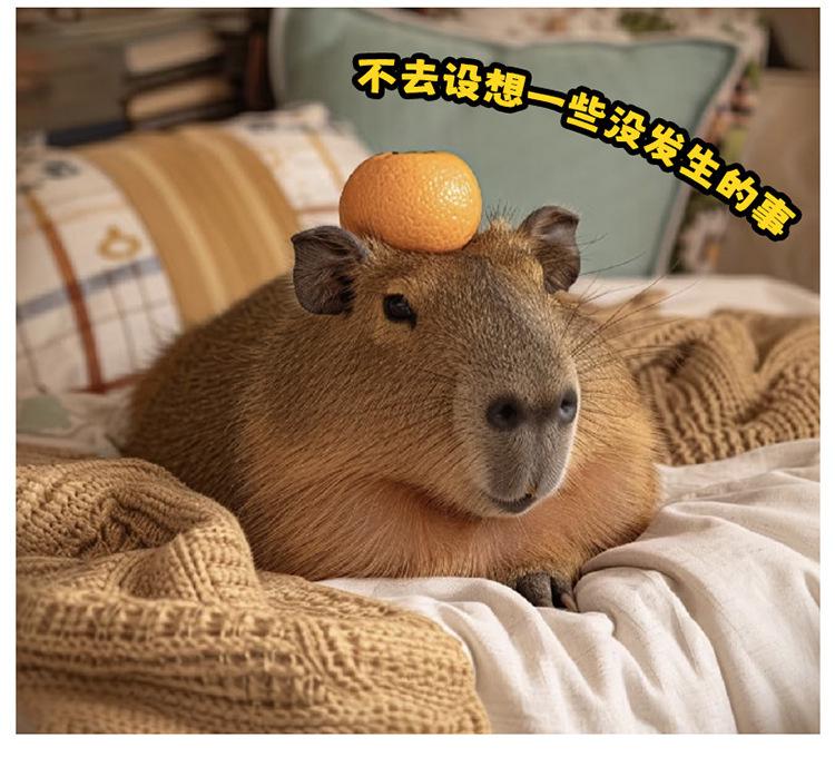 Cute Plush Capybara Doll & Pillow - Lying Version Birthday Gift