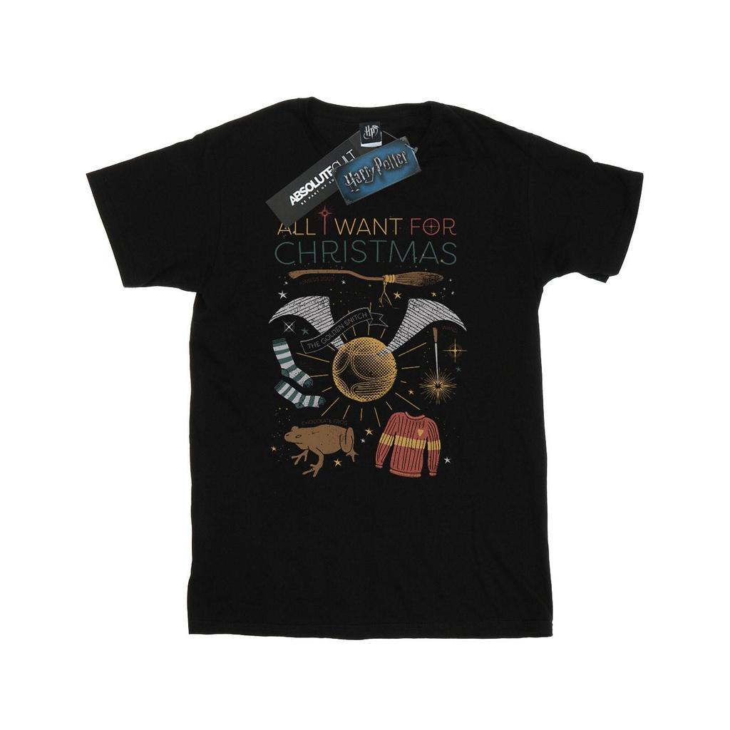 Harry Potter Mens All I Want For Christmas T-Shirt