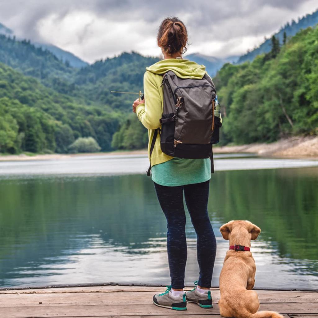 Dragon Seeking Ruler, Ghost Hunting Set 2 Pieces